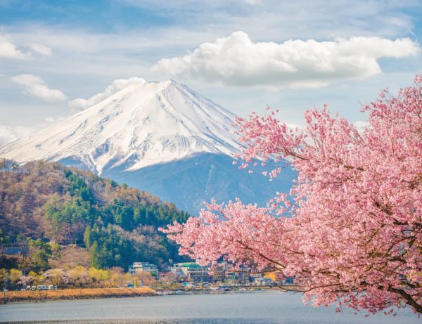 Vroege-sakura-in-Japan